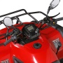 Quads/ATV's - Quad/ATV 300cc Pioneer EEC  - 300cc - 205